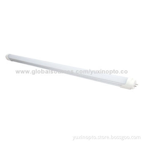 SAA T8 10W LED Tube